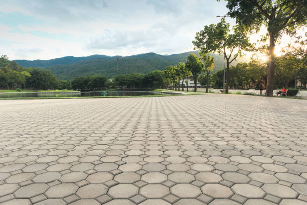 Best Best Driveway Pavers  in Nroe City, MO